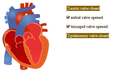 Heart valves animation